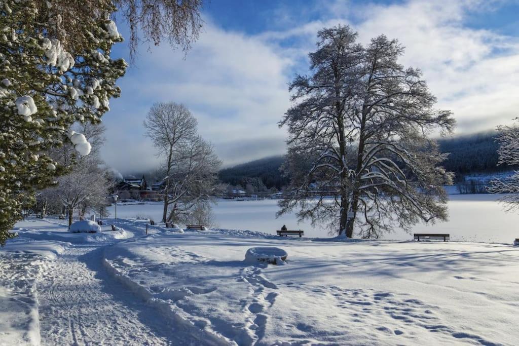 Waldklang Titisee Eksteriør billede