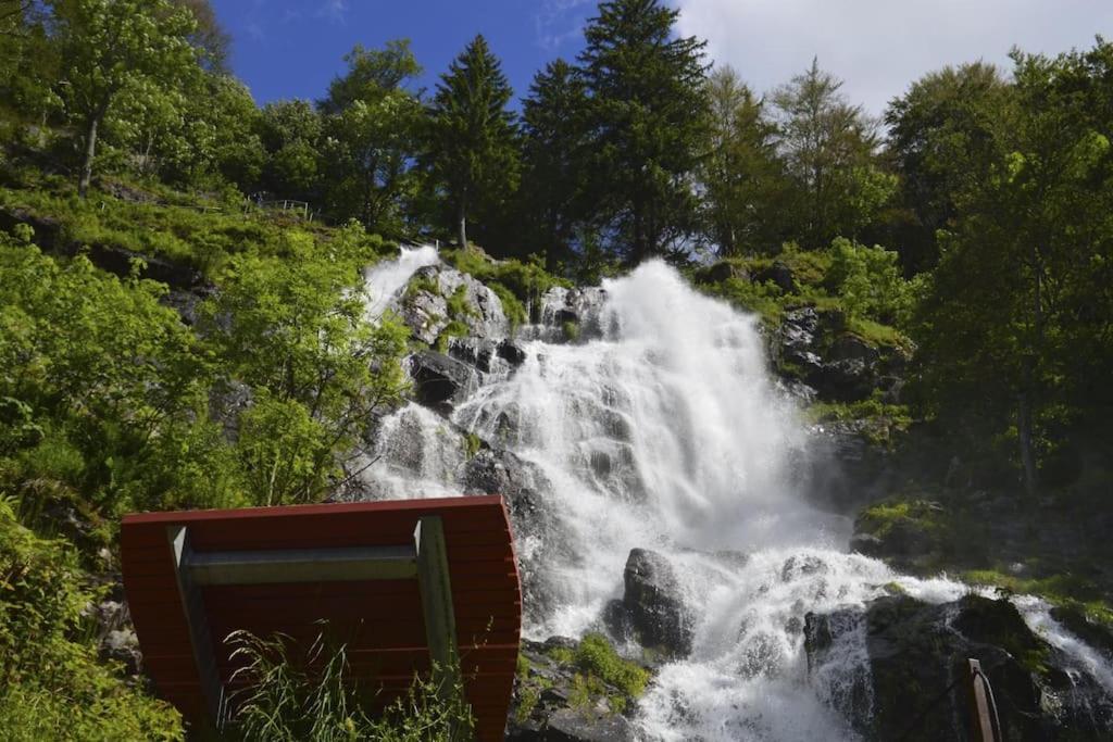 Waldklang Titisee Eksteriør billede