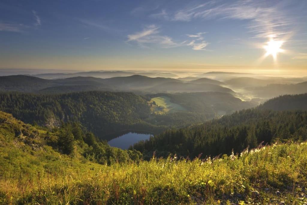Waldklang Titisee Eksteriør billede