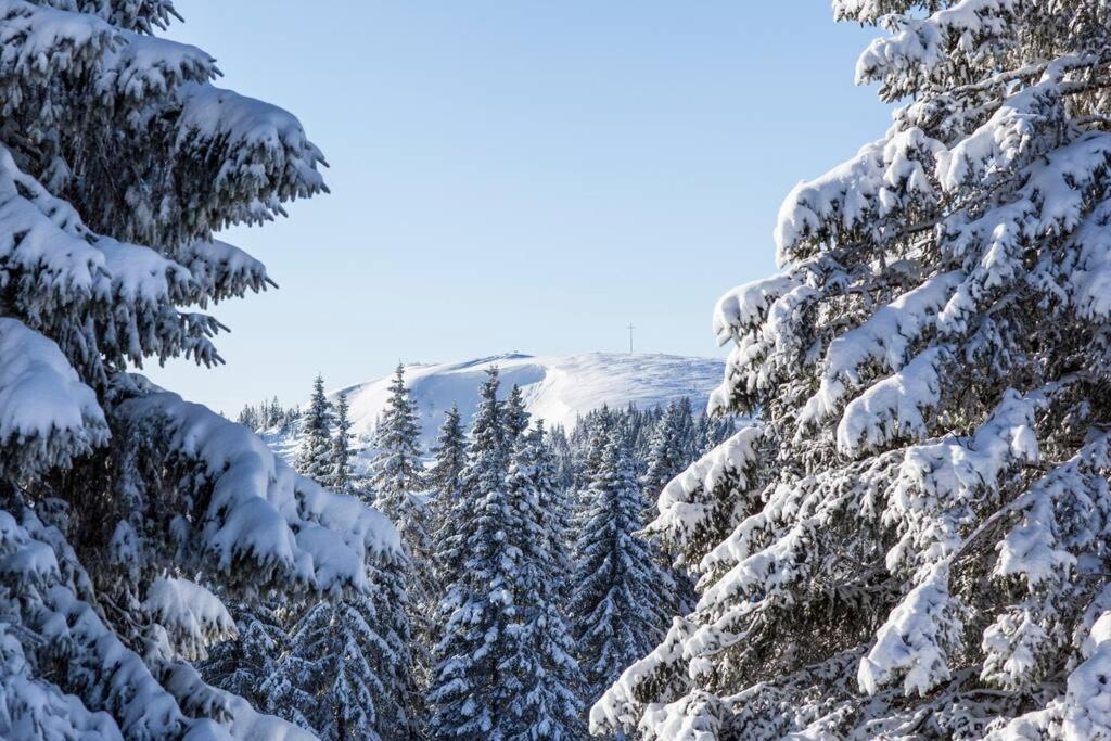 Waldklang Titisee Eksteriør billede