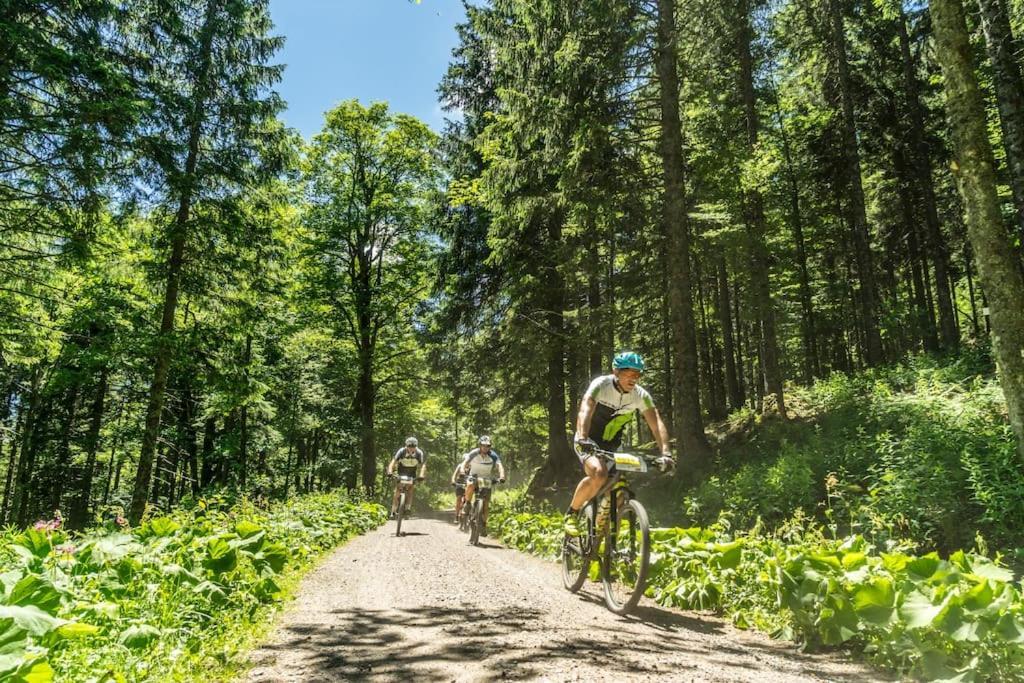 Waldklang Titisee Eksteriør billede